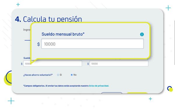 Calcula tu pensión